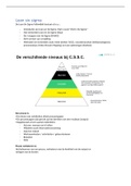 Visuele samenvatting Lean Six Sigma Yellow Belt (veel plaatjes en grafieken)