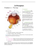   2.4C Perception Summary of ALL LITERATURE (FSWP2-040-A)