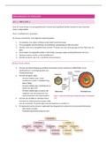 Uitgebreide samenvatting; Virologie en Immunologie