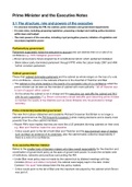 A* Grade A-Level Politics Notes Edexcel - PM and the Executive 