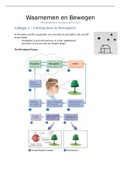 Waarnemen en Bewegen - samenvatting colleges en boek (Bewegingswetenschappen)
