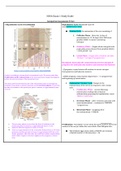 N306 Exam 1 Study Guide