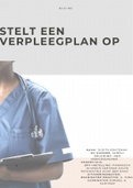 EXAMEN Verpleegkundige | Stelt een verpleegplan op