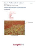 BIO202L Lab 18 The Reproductive System[DOWNLOAD TO PASS]