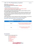 BIO202L Lab 13 The Respiratory System[ALREADY PASSED]
