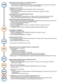 Schema/tijdslijn hoofdstuk 4 - SRB