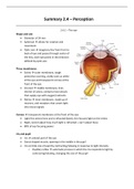 Summary 2.4 - Perception 