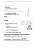 Samenvatting wervelzuil theorie