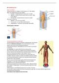 Samenvatting van de hoorcolleges en tutor biomechanica 