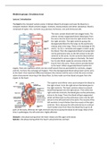 Summary of all MG circulatory tract lectures