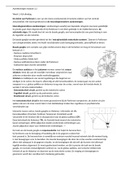 Samenvatting + oefenvragen kennistoets module 3.2 fysiotherapie