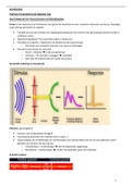 Samenvatting basisbegrippen audiologie 2