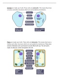 Everything about cells notes and practice