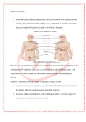 NU606_W10_Endocrine_Disorders_Guided_Notes and marking scheme