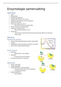 samenvatting enzymologie