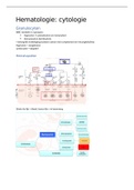 samenvatting hematologie: Witte bloedcellen