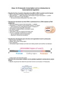 Study guide for Biology Midterm 3 