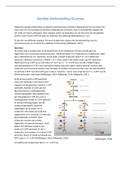 Samenvatting Aerobe Dissimilatie van Glucose