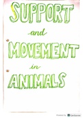 Support and Movement in Animals