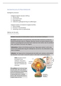 Geomorfologie in een notendop 1/2