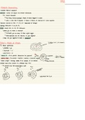 geology 101 notes