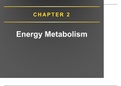 Energy metabolism