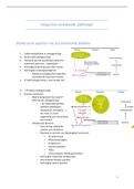 Hoog-risico verloskunde: pathologie (dr. M. Laubach) 