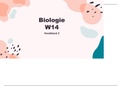 Samenvatting en presentatie biologie 3havo/vwo en 4vwo