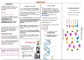 IEB Life Sciences Grade 12 Genetics 