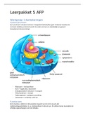 AFP LP5 jaar 2 verpleegkunde 