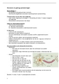 Samenvatting hoorcolleges  Hersenen en Gedrag 2023. Premaster (forensische) orthopedagogiek - 8.2 gehaald