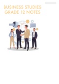 Business studies summary- IEB Grade 12