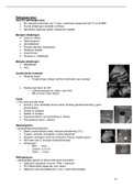 samenvatting pathologie EC p7 MBRT praktijkassessment