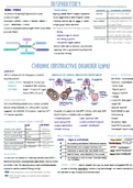 Conditions that affect the respiratory system