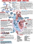 CV System meds and nursing interventions