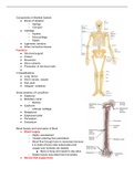 Skeletal System 