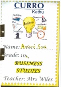 Grade 10 Business Studies summaries