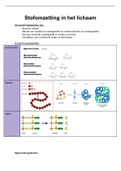 Eiwitten, water/vitaminen/mineralen, stofomzetting in het lichaam