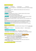 brain and cranial  nerves ap1