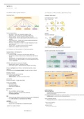 PSYU9IN - Individual differences WEEK 3