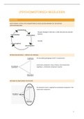 Samenvatting psychomotorisch begeleiden