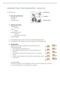 Samenvatting Stem Diagnostiek fase 1