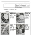 EM - histologie en histopathologie