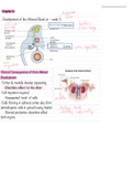 Chapter 6 Notes