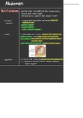 Anatomy of the abdominal viscera high yield notes based on Snell's Clinical Anatomy