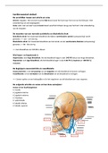 Samenvatting  Thema 1.5 Tandanatomie, Werkgroepleren en Fysiologie