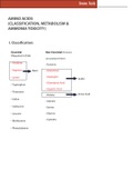 Amino Acid Metabolism