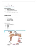 Anatomie& Fysiologie aantekeningen college's