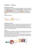 Samenvatting 2.4 Cognitieve Pscyhologie