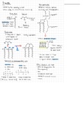 Chapter 3 Summary: Lipids, Proteins, Carbohydrates